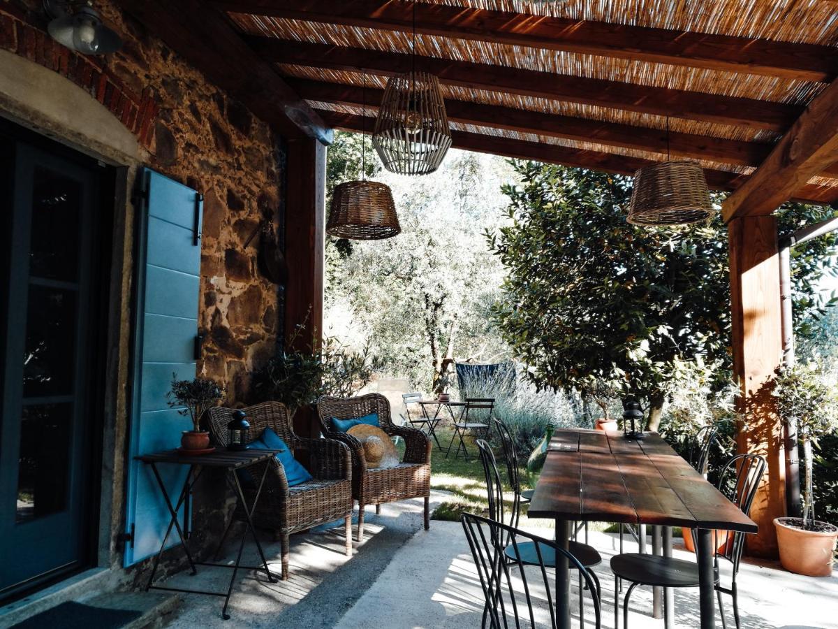 Agriturismo Tananei Marliana エクステリア 写真