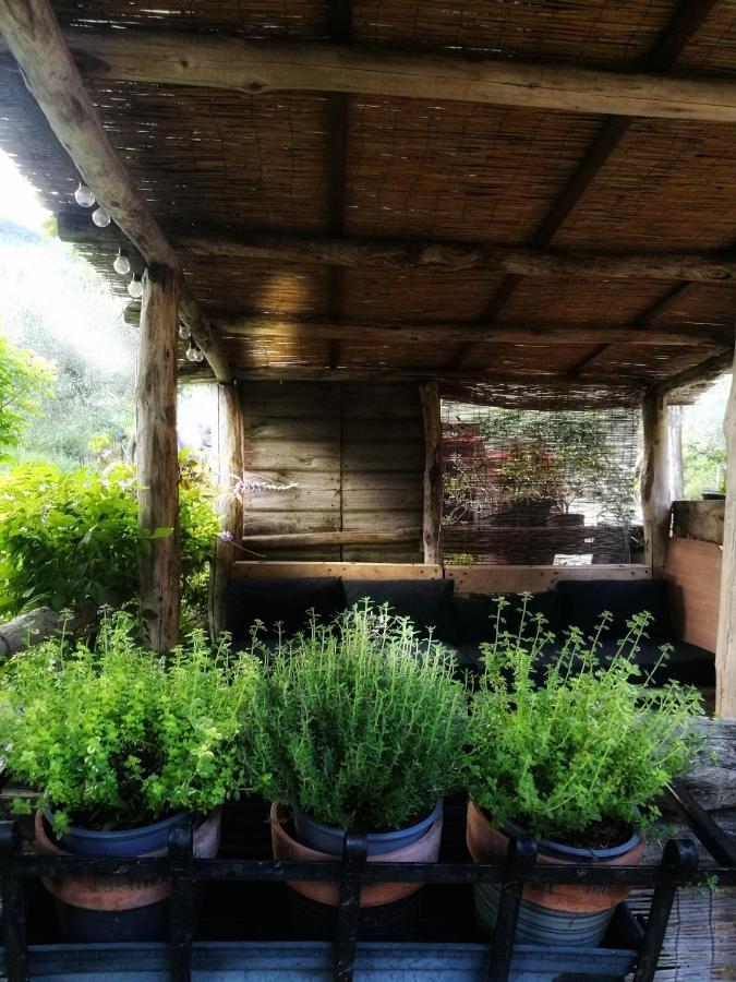 Agriturismo Tananei Marliana エクステリア 写真