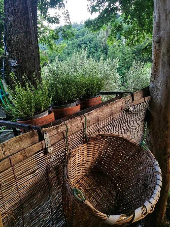 Agriturismo Tananei Marliana エクステリア 写真