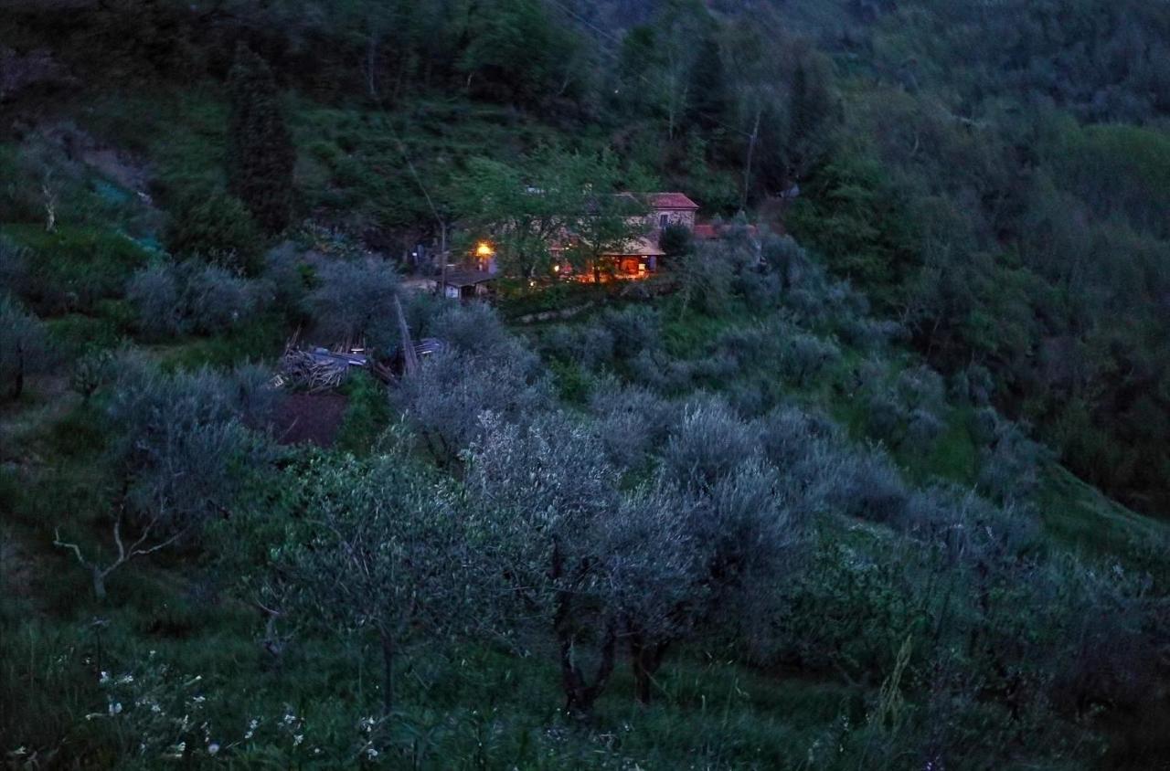 Agriturismo Tananei Marliana エクステリア 写真
