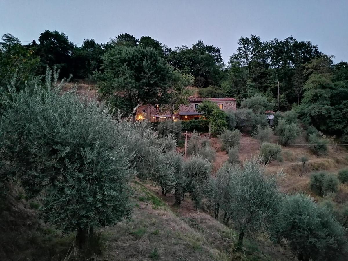 Agriturismo Tananei Marliana エクステリア 写真