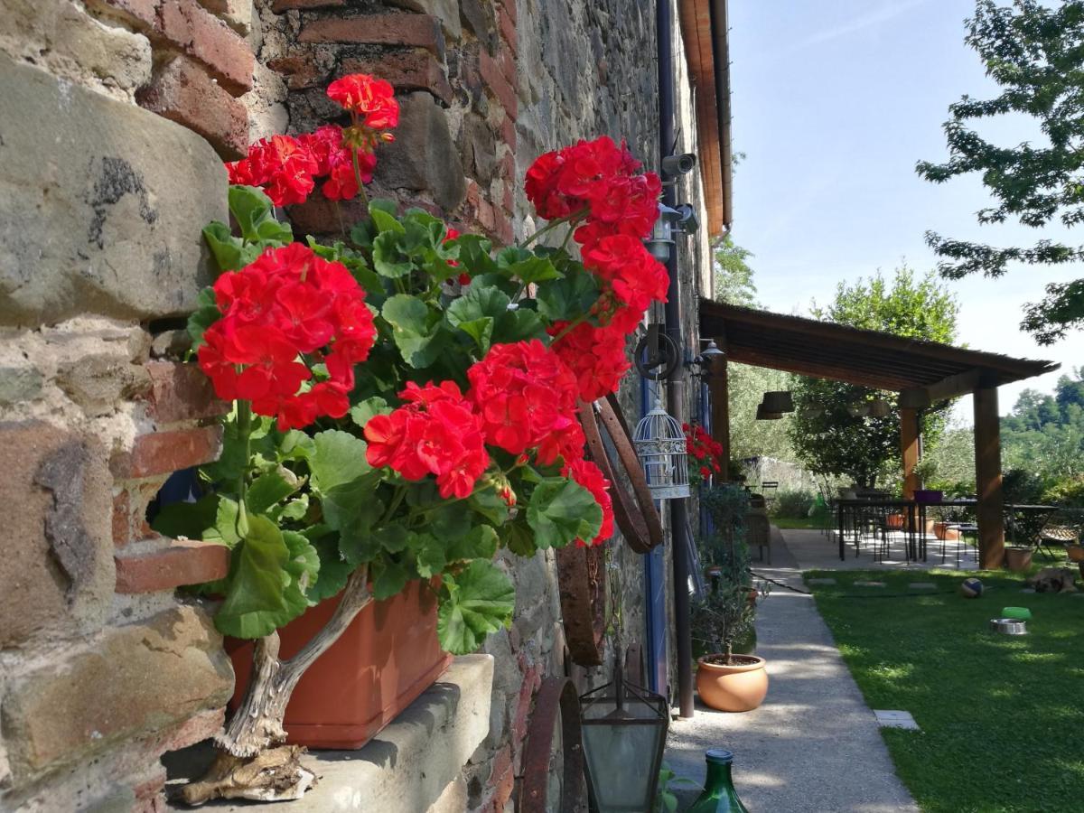 Agriturismo Tananei Marliana エクステリア 写真