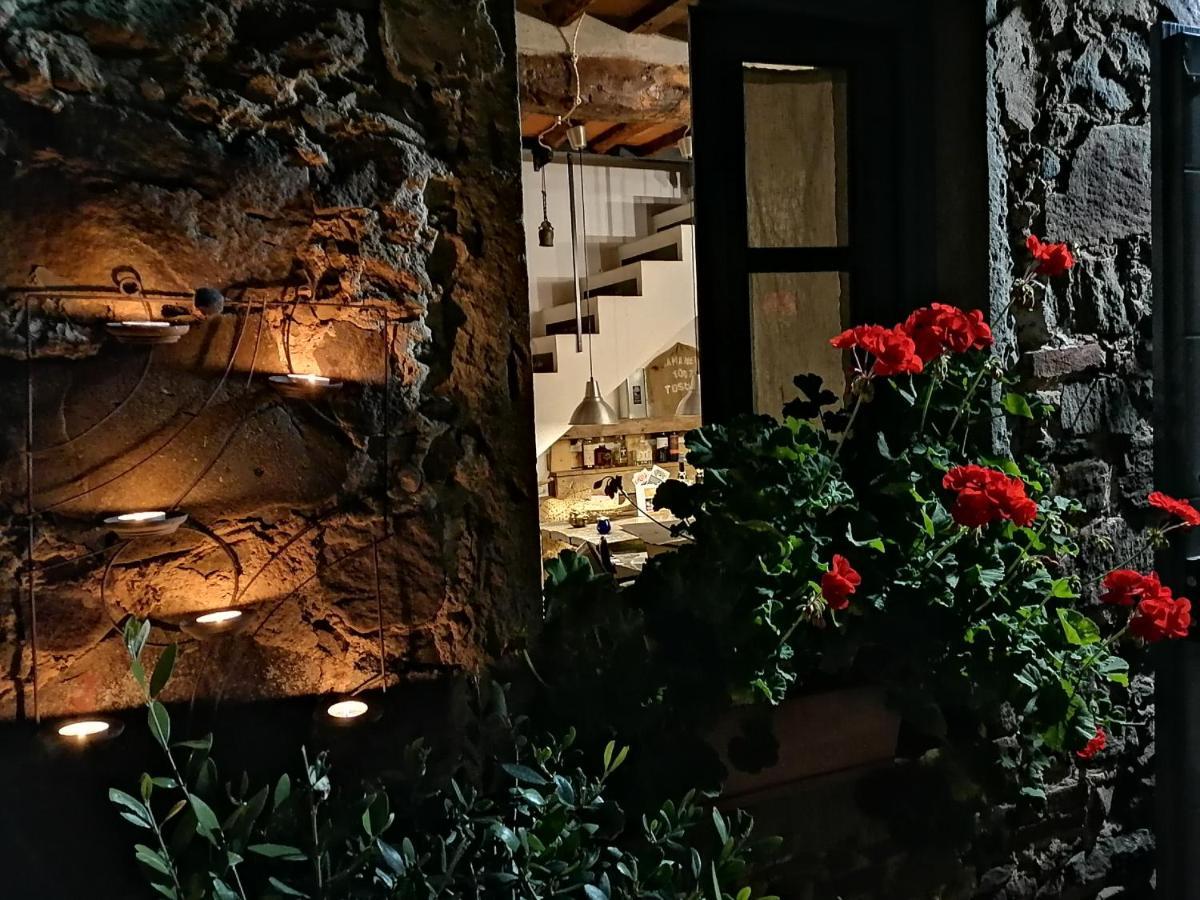 Agriturismo Tananei Marliana エクステリア 写真