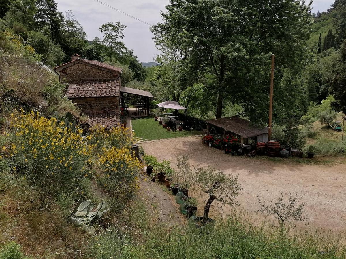 Agriturismo Tananei Marliana エクステリア 写真