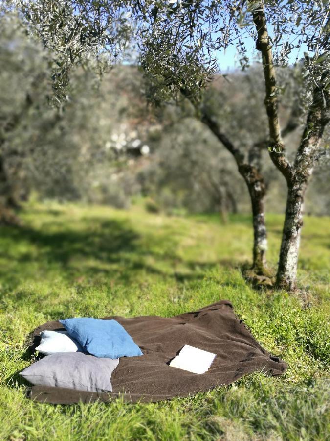 Agriturismo Tananei Marliana エクステリア 写真