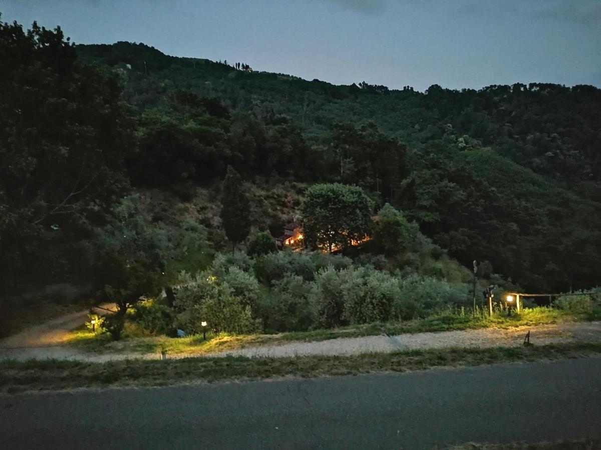 Agriturismo Tananei Marliana エクステリア 写真