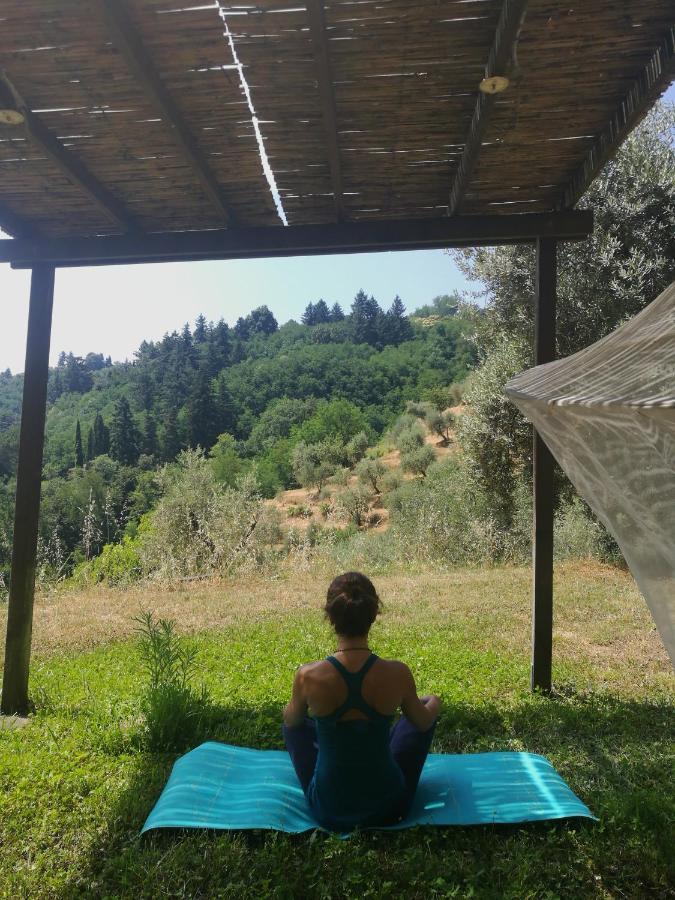 Agriturismo Tananei Marliana エクステリア 写真
