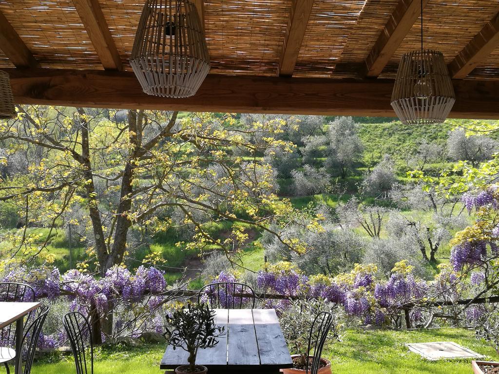 Agriturismo Tananei Marliana エクステリア 写真